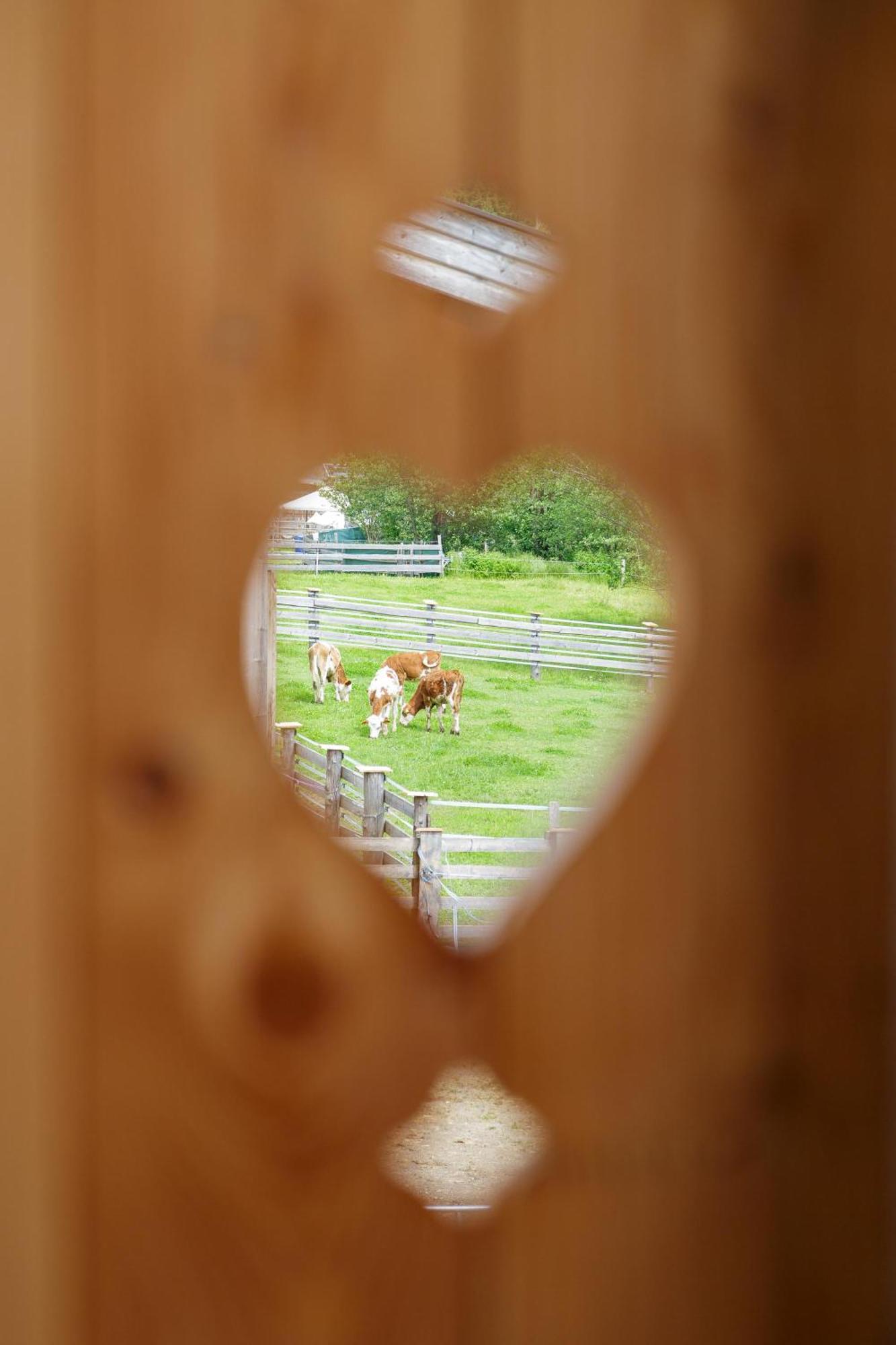 Ferienwohnung Am Bauernhof, Korbingerhof Rinn Exterior foto